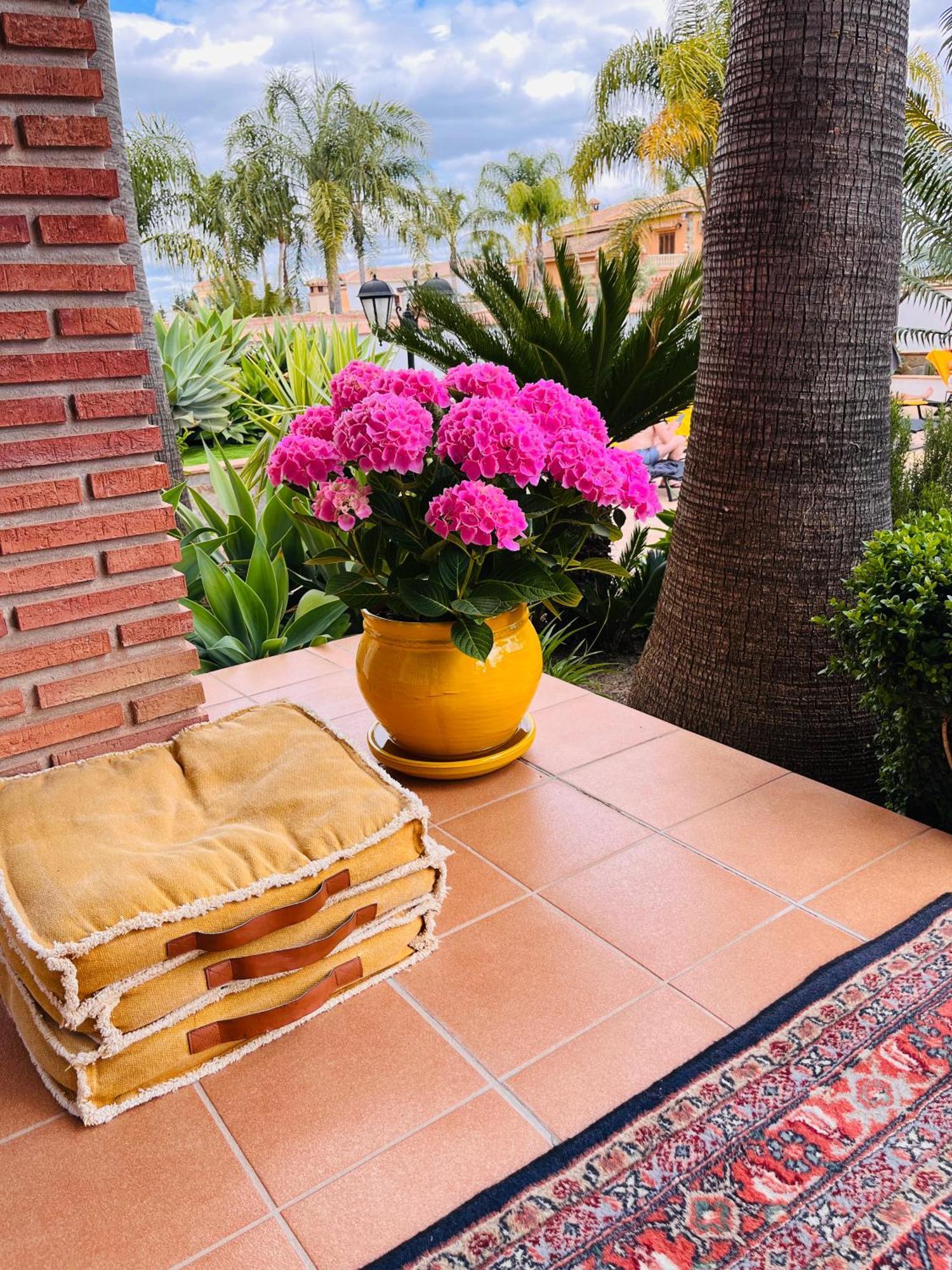 Casa Limon, Boutique Bed And Breakfast, Adults Only 阿尔豪林格朗德 外观 照片